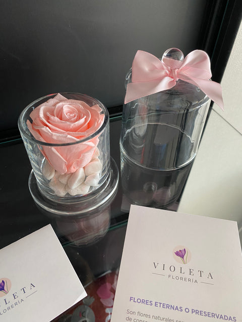 Rosa eterna en cúpula Encantada