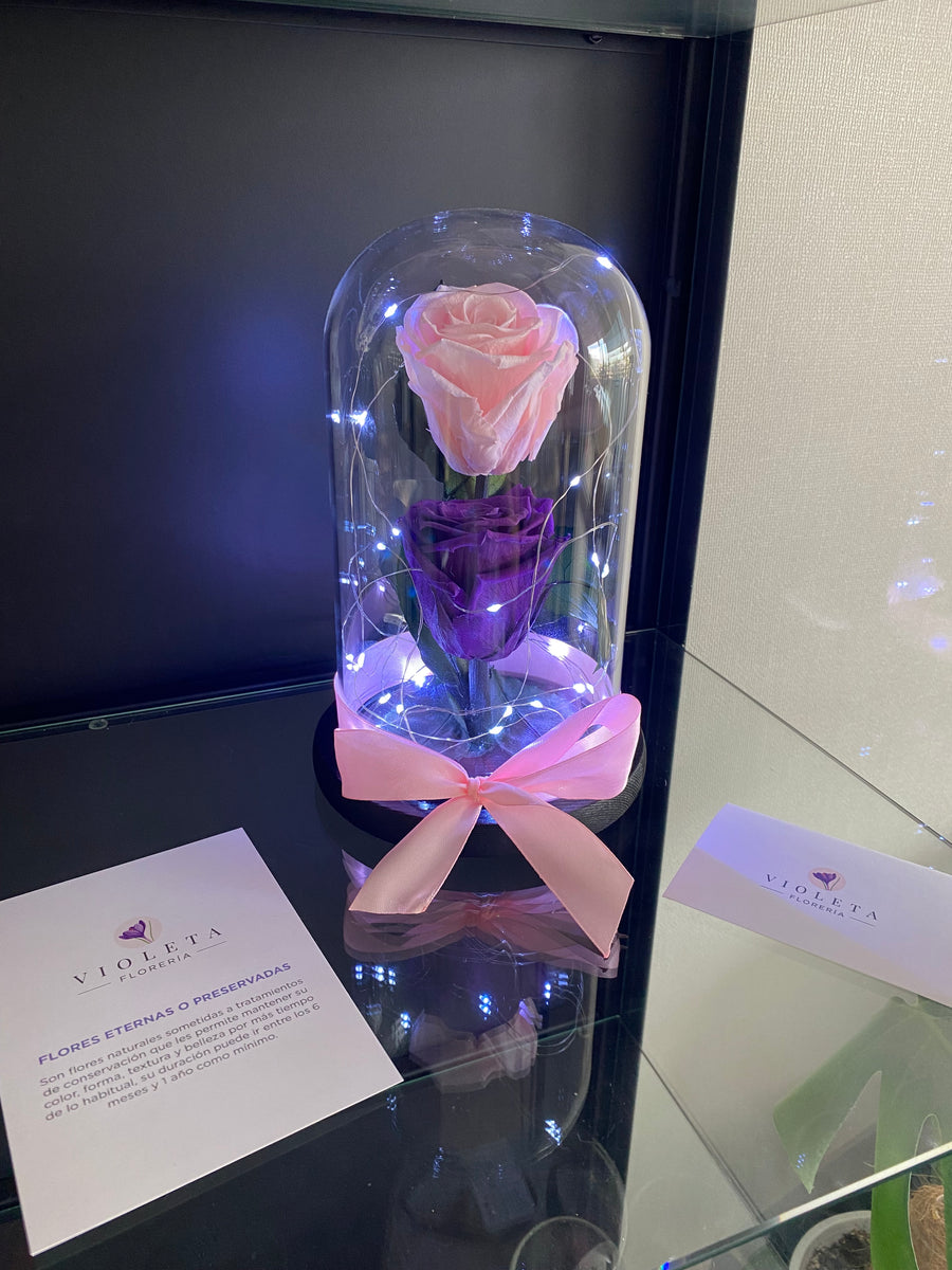 Dos rosas en cúpula Luxury