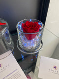 Rosa eterna en cúpula encantada Deluxe