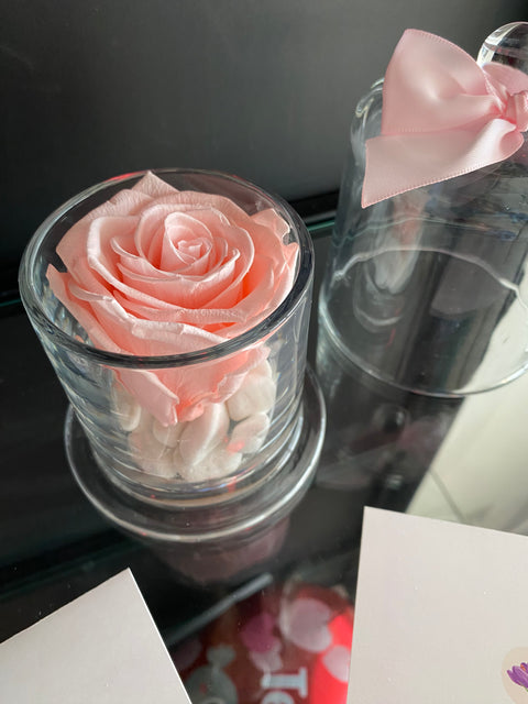 Rosa eterna en cúpula Encantada