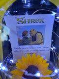 Pack Shrek y Fiona