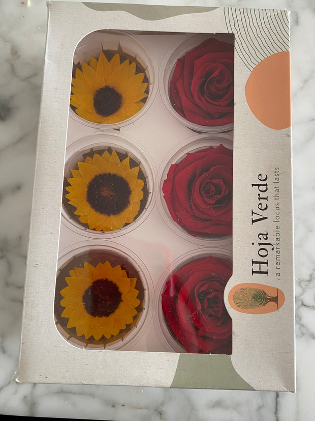 Caja de rosas y girasoles eternos individuales