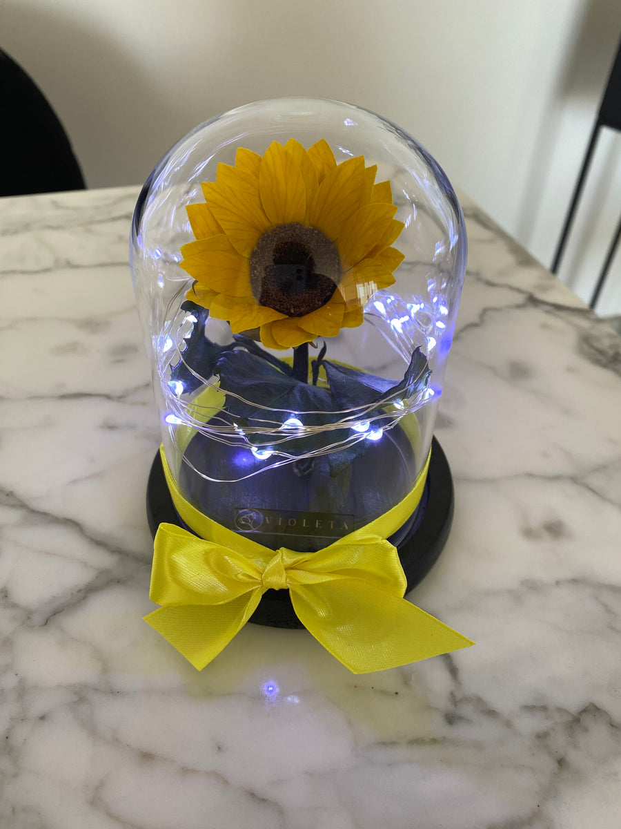 Girasol eterno en cúpula Deluxe