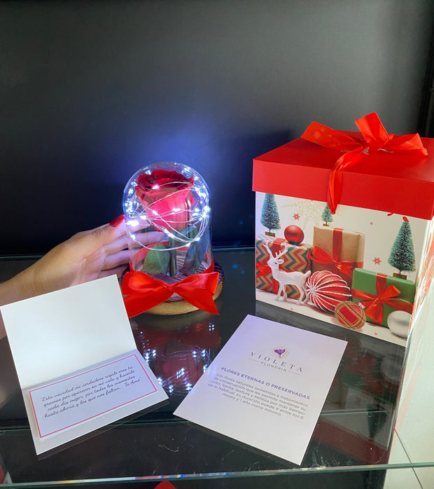 ⭐️ Rosa eterna en mini cúpula de Navidad ⭐️