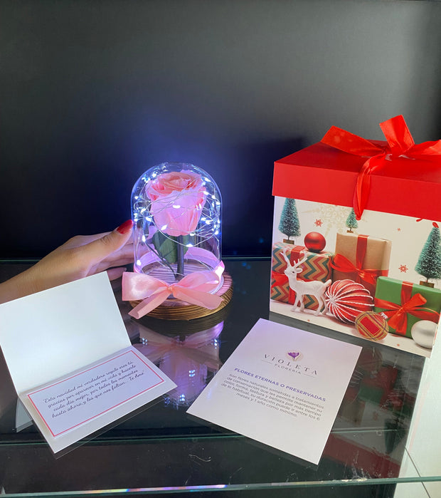 ⭐️ Rosa eterna en mini cúpula de Navidad ⭐️