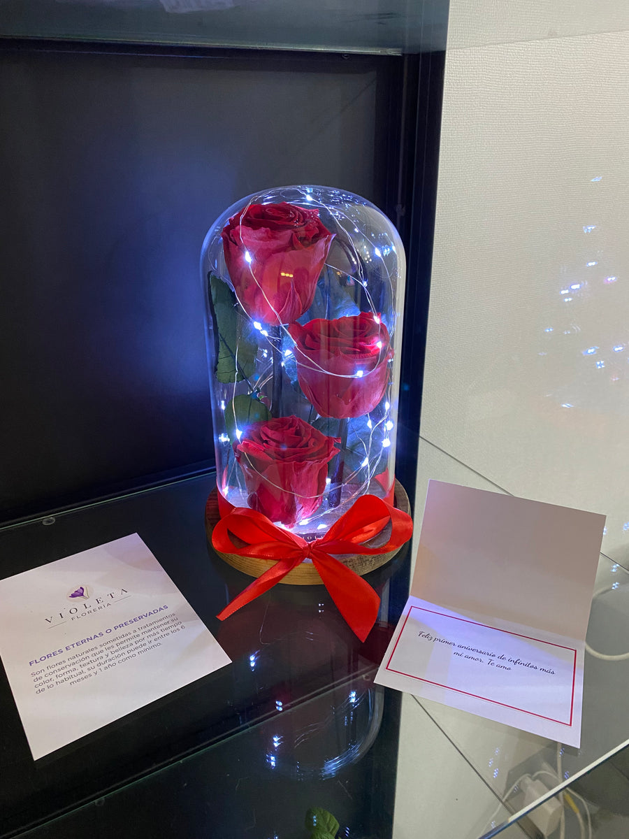 Tres rosas en cúpula Luxury