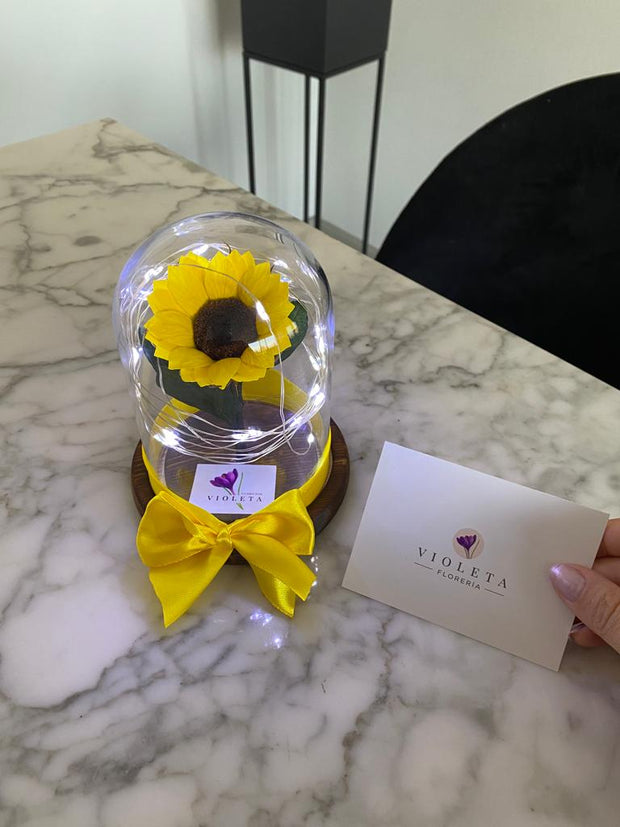 Girasol pequeño en cúpula Magic