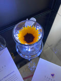 Girasol en cúpula encantada