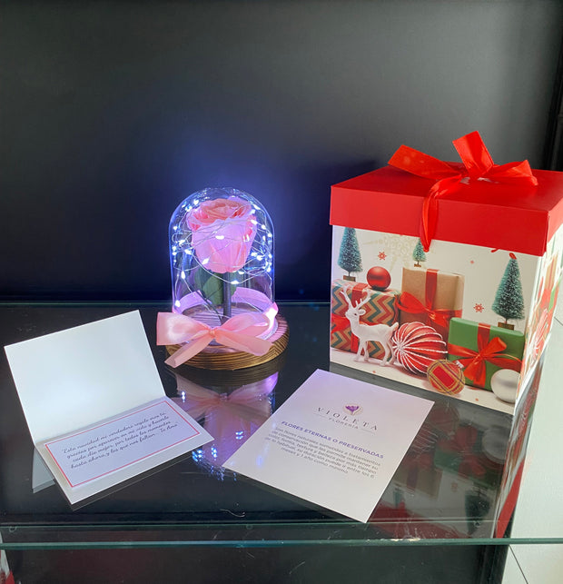 ⭐️ Rosa eterna en mini cúpula de Navidad ⭐️