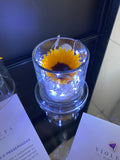 Girasol en cúpula encantada