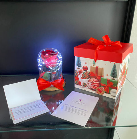 ⭐️ Rosa eterna en mini cúpula de Navidad ⭐️