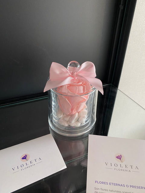 Rosa eterna en cúpula Encantada