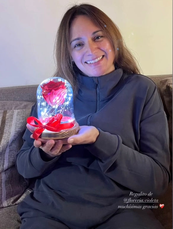 Rosa eterna en mini cúpula La Bella y la Bestia