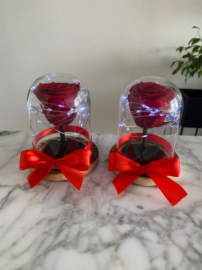 Pack 2 mini cúpulas La Bella y la Bestia