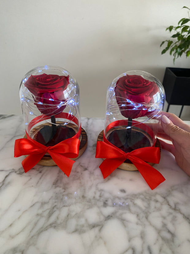 Pack 2 mini cúpulas La Bella y la Bestia