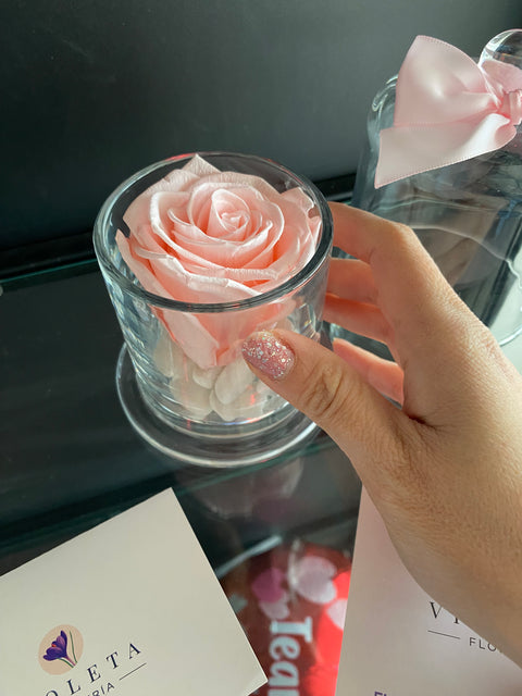 Rosa eterna en cúpula Encantada