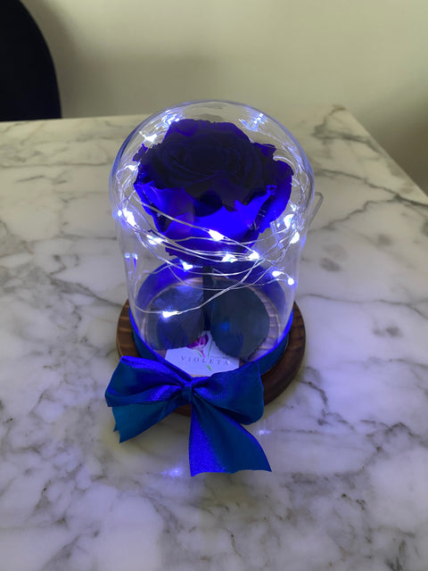 Rosa eterna en mini cúpula La Bella y la Bestia