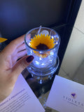 Girasol en cúpula encantada