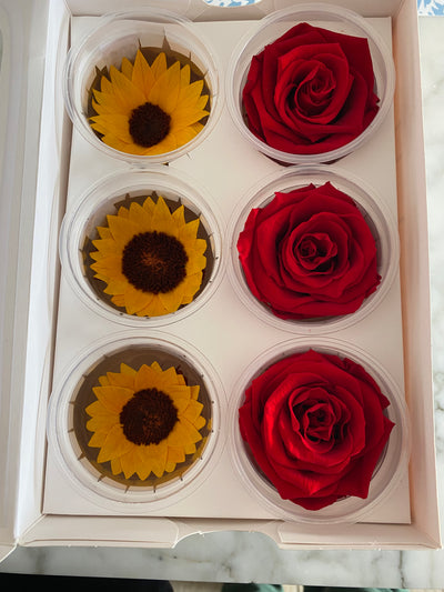 Caja de rosas y girasoles eternos individuales