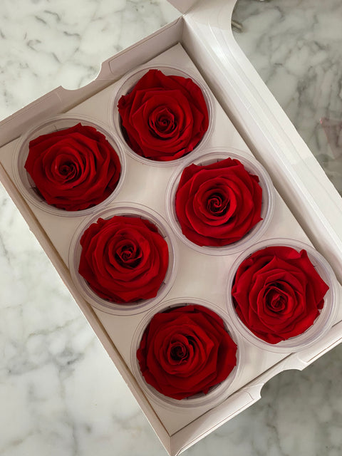 Caja de 6 rosas eternas individuales