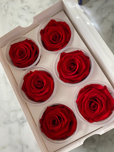 Caja de 6 rosas eternas individuales