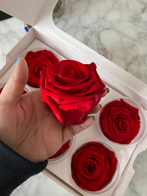 Caja de 6 rosas eternas individuales