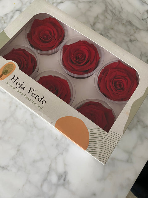 Caja de 6 rosas eternas individuales