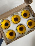 Caja de 6 girasoles eternos individuales