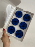 Caja de 6 rosas eternas individuales