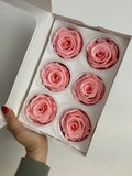 Caja de 6 rosas eternas individuales