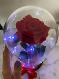 Rosa en cúpula Encantada