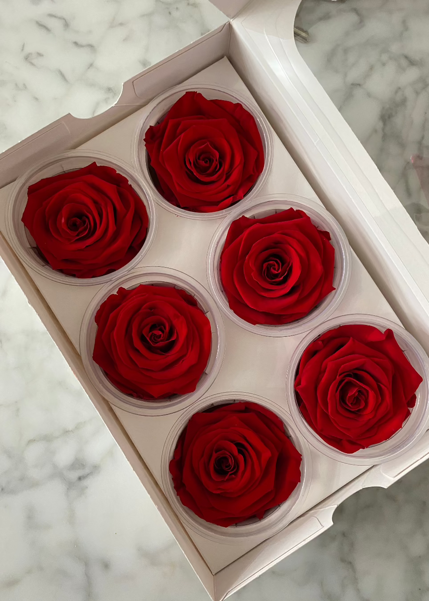 Caja de 6 rosas eternas individuales
