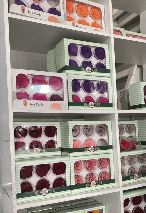 Caja de 6 rosas eternas individuales - Florería Violeta