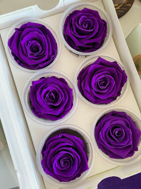 Caja de 6 rosas eternas individuales - Florería Violeta