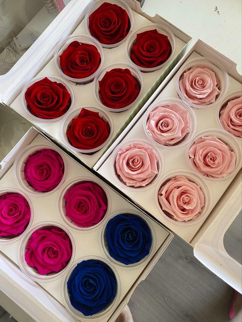 Caja de 6 rosas eternas individuales - Florería Violeta