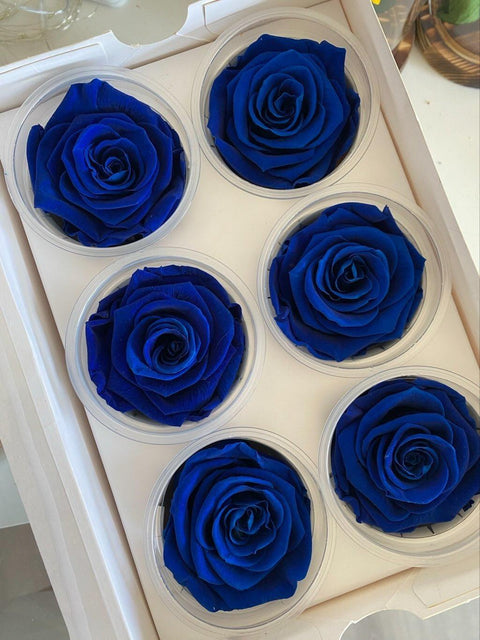 Caja de 6 rosas eternas individuales - Florería Violeta