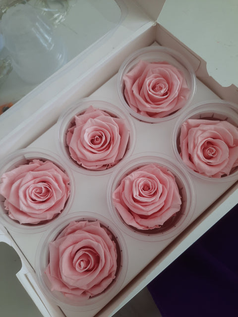 Caja de 6 rosas eternas individuales - Florería Violeta