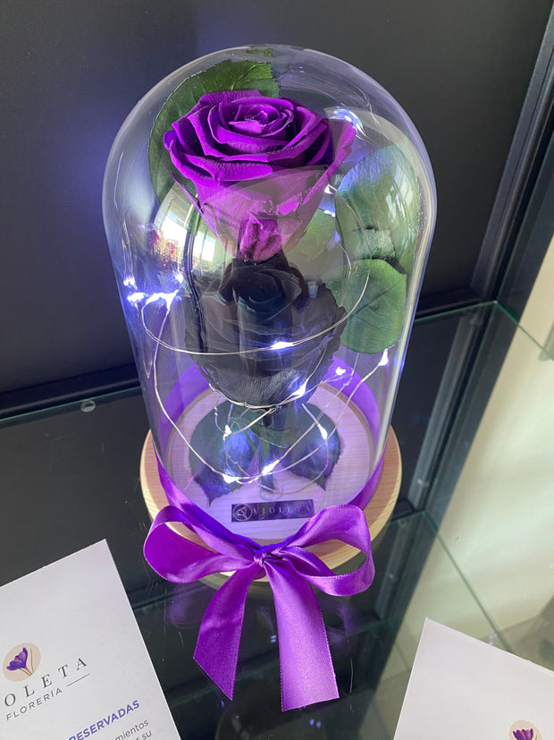 Dos rosas en cúpula Luxury - Florería Violeta