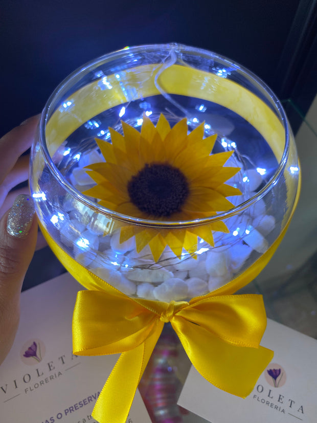 Girasol en pecera - Florería Violeta