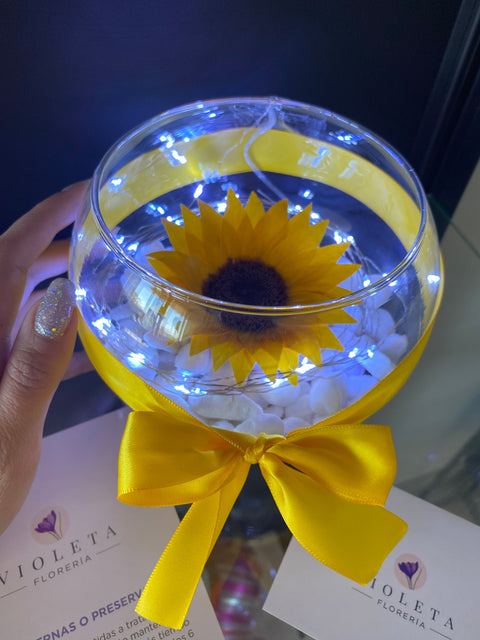 Girasol en pecera - Florería Violeta