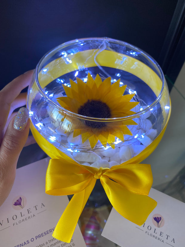 Girasol en pecera - Florería Violeta
