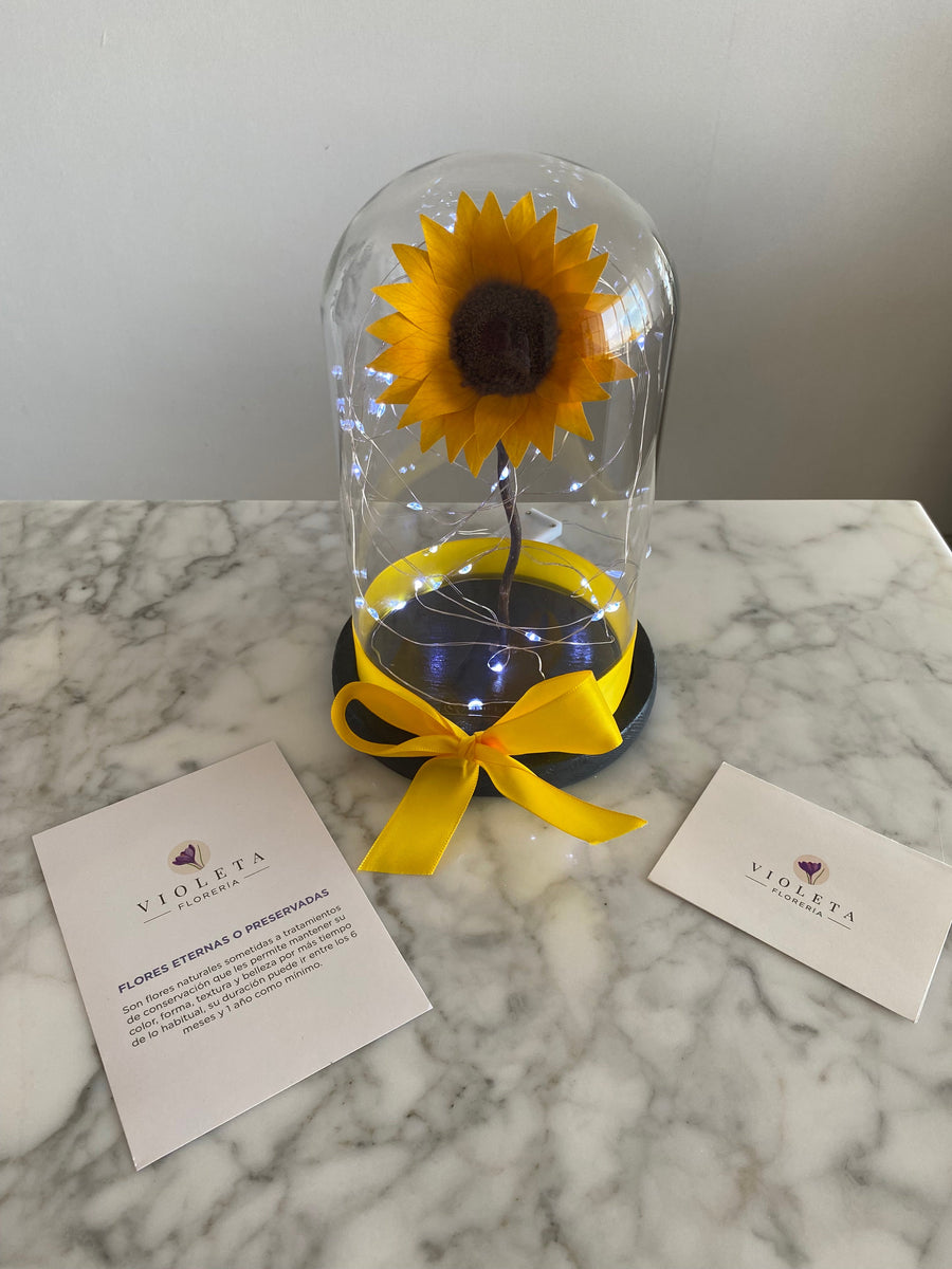Girasol eterno en cúpula Luxury