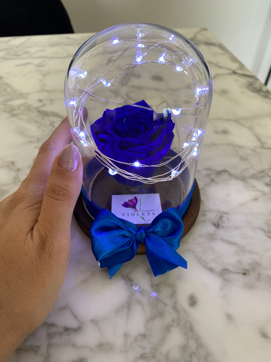 Rosa eterna en mini cúpula