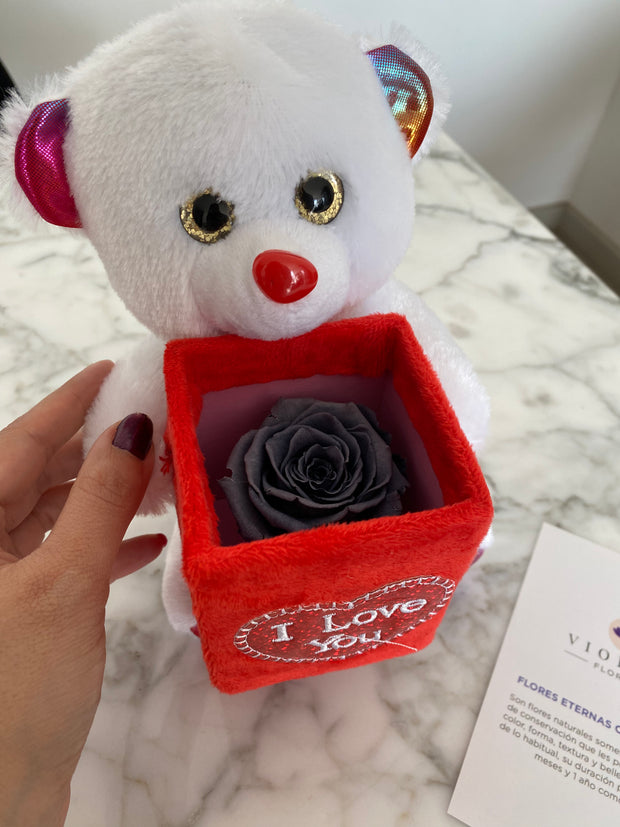 Rosa eterna Colores en osito de peluche