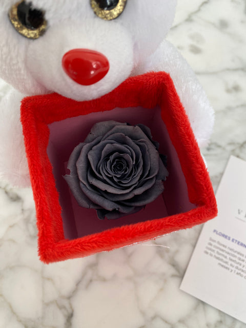 Rosa eterna Colores en osito de peluche