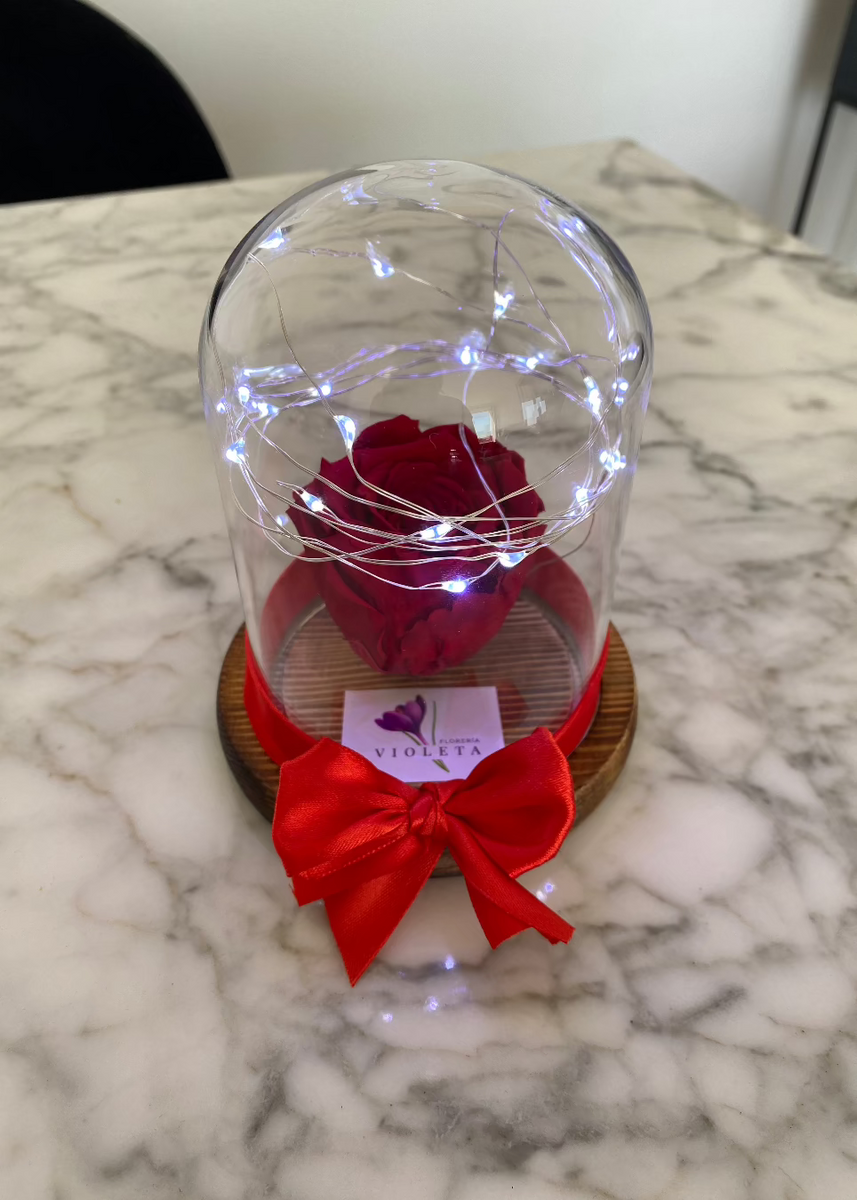 Rosa eterna en mini cúpula