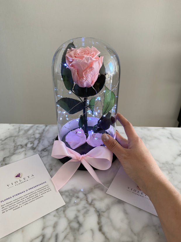 Pack Amor Incondicional - Florería Violeta