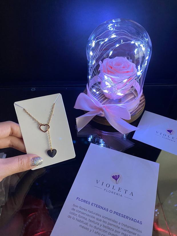 Pack Contigo para Siempre - Florería Violeta