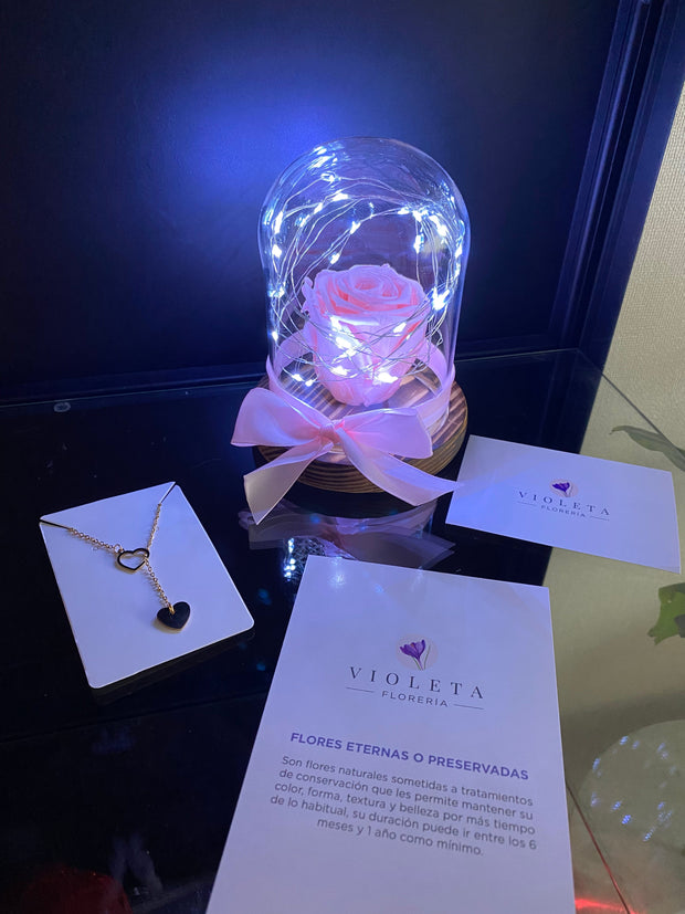 Pack Contigo para Siempre - Florería Violeta