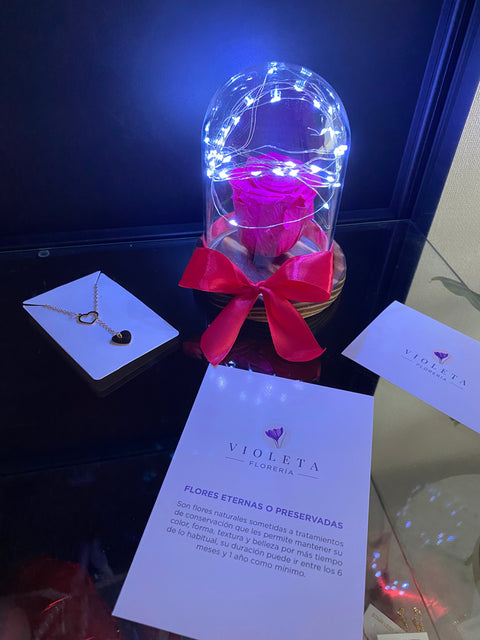 Pack Contigo para Siempre - Florería Violeta